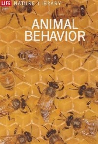 Image of Animal Behavior